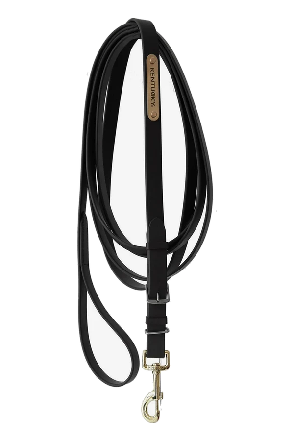 Grimskaft Stallion lead 4 m – Kentucky