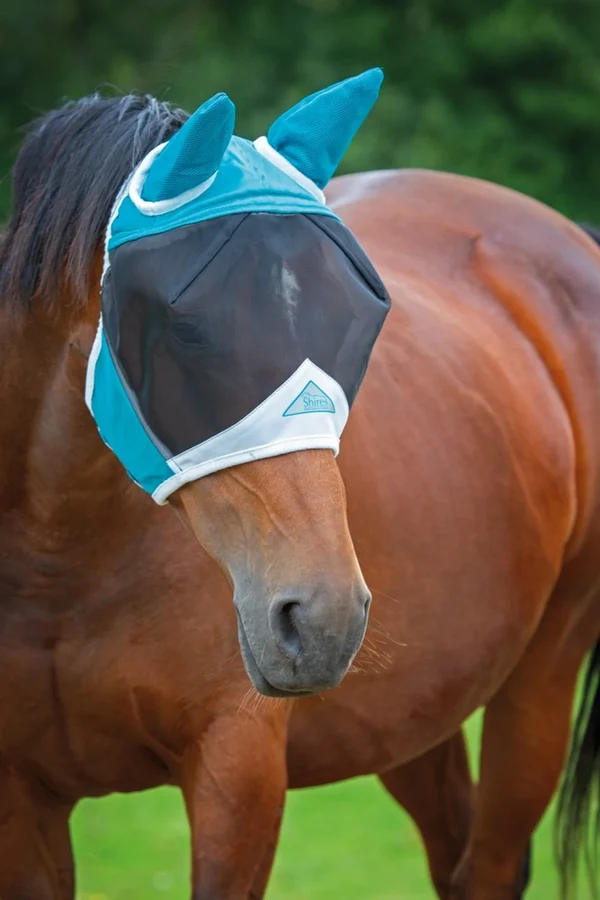 Flughuva med öron, Teal & Grey – Shires
