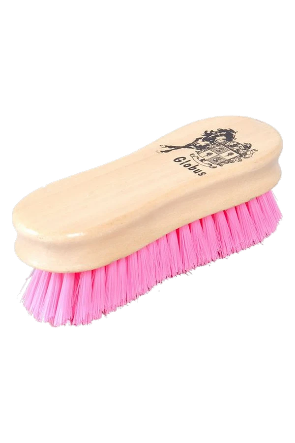 Pannborste 12 x 4 cm – Globus Sport