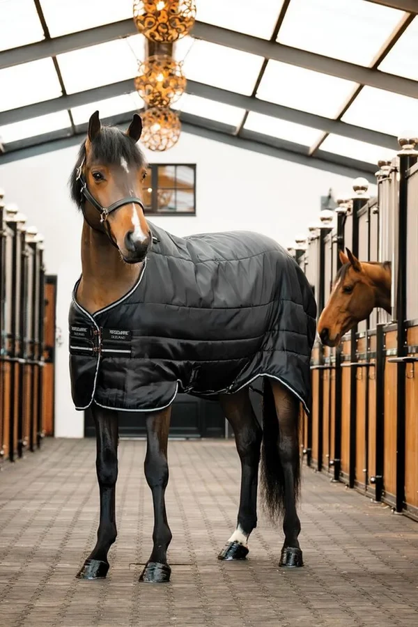 Horseware Easy-Layer Stable 100g