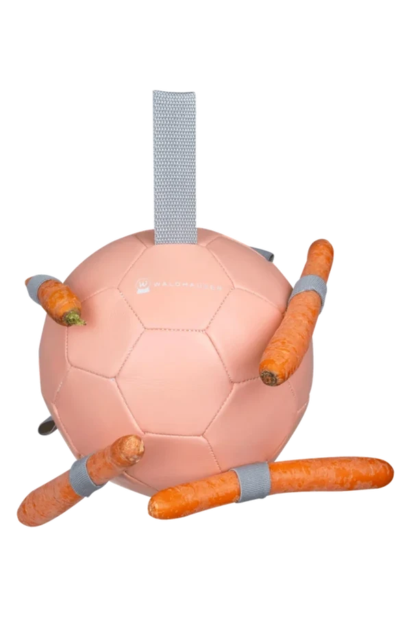Hästleksak Carrot ball – Waldhausen