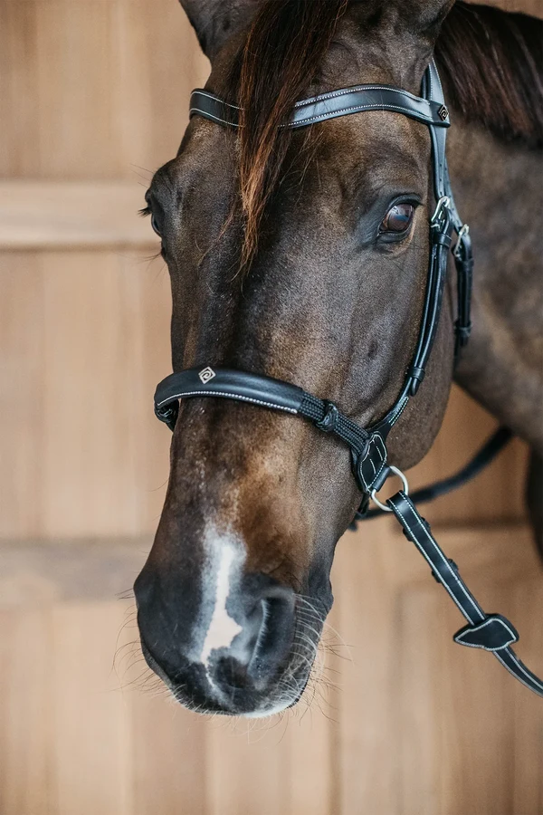 Bettlöst träns Dyón WBD S/S – Dyon