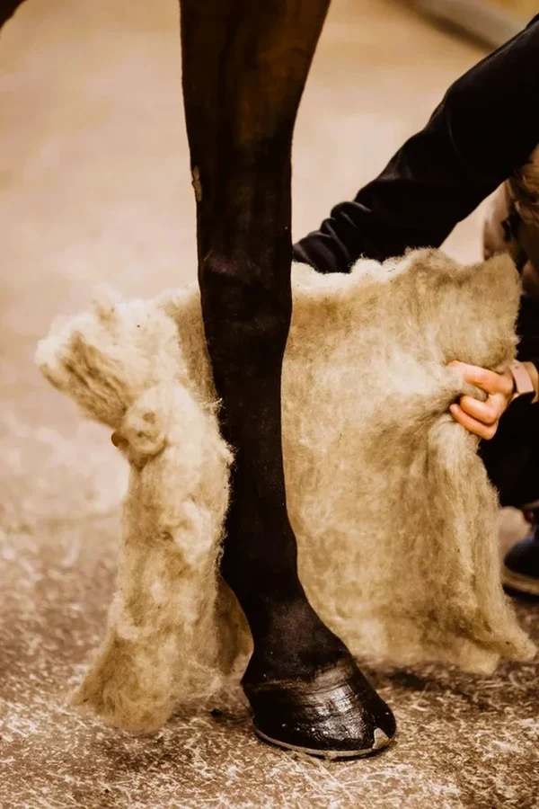 VILLAge Wool pads